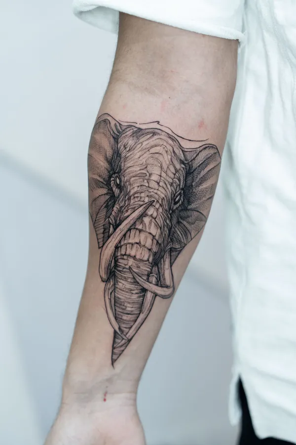 Elephant head portrait forearm fine line tattoo Bangkok