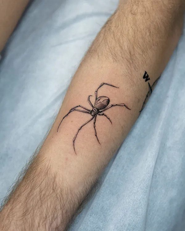 Realistic spider fine line tattoo Bangkok